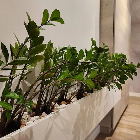 Nadmorski Dwor Modern