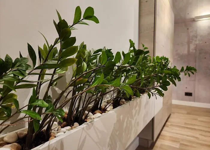 Nadmorski Dwor Modern